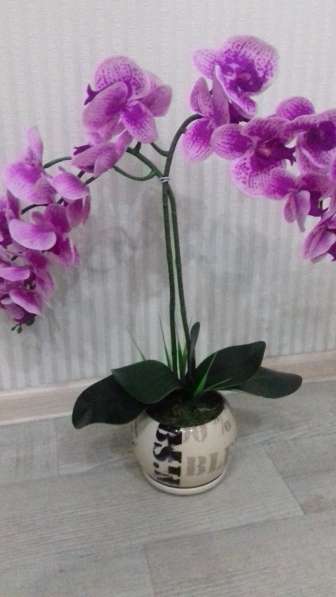 Орхидея -фаленопсис интерьерная композиция в Улан-Удэ