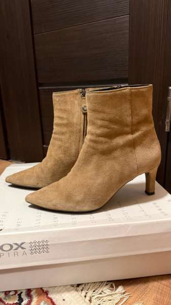 Батильоны весна