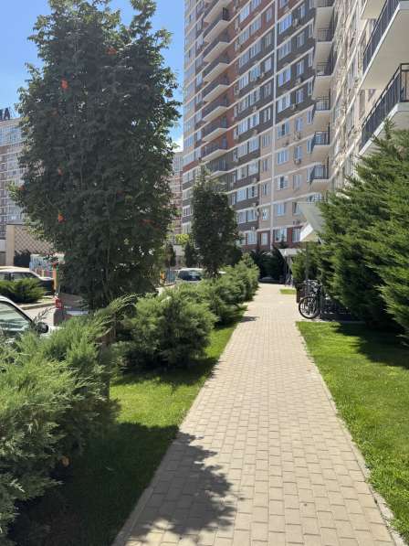 Благоустройство территорий под ключ. Ландшафтный дизайн в Краснодаре фото 11
