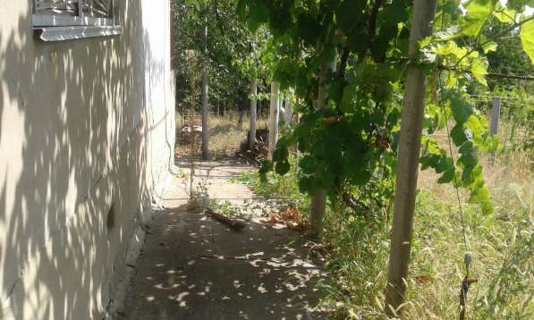 Срочно Продам дом (дача) в фото 12