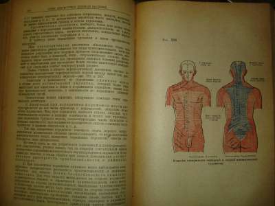 Основы клинической диагностики,1922(Леви в Санкт-Петербурге фото 3