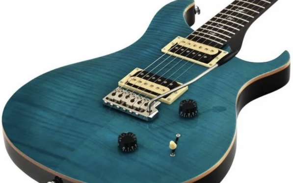 PRS SE Custom в Ростове-на-Дону фото 7