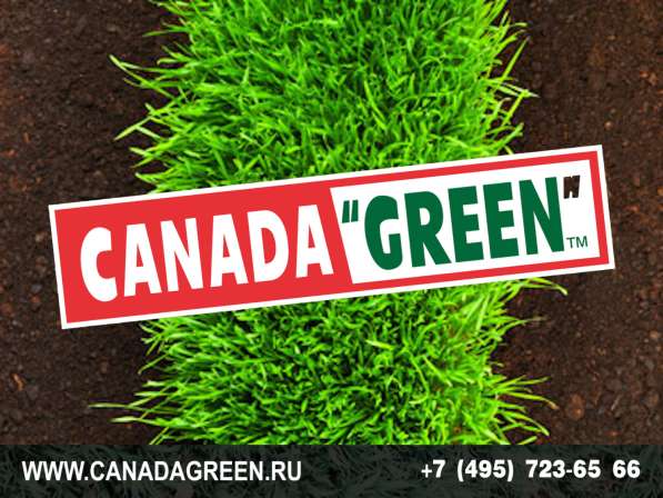 Газон КАНАДА ГРИН в Москве