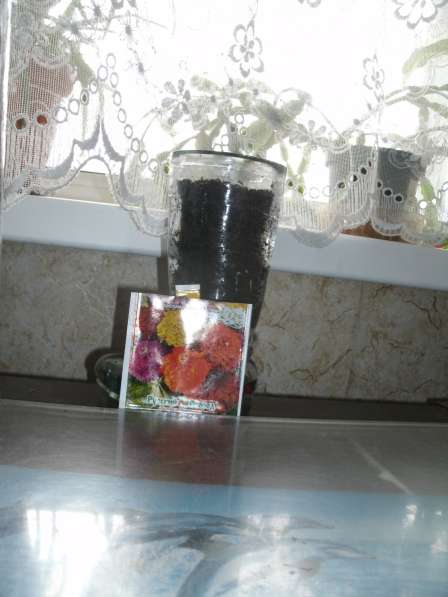 Вазариум в Москве фото 6