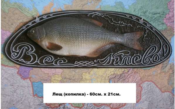 Муляжи рыб в Новосибирске фото 11