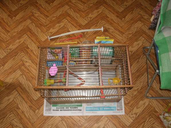 Клетка для средних птиц в Москве фото 4