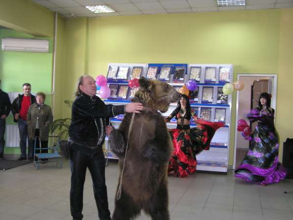 Цыганское шоу. Цыгане. живой медведь в Краснодаре фото 3