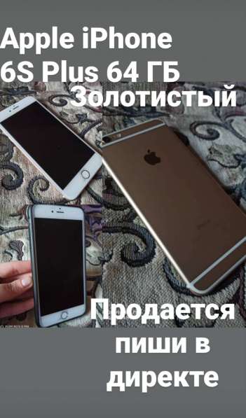 Телефон в Сальске