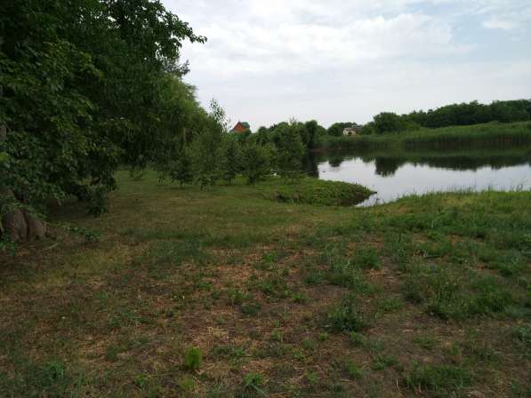 Дом на берегу реки в Краснодаре фото 9