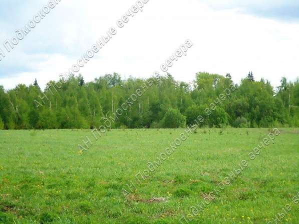 realty_mapper3.plot_in_locationПлощадь 253.00 сот.Есть Электричество, Газ. в Москве фото 37