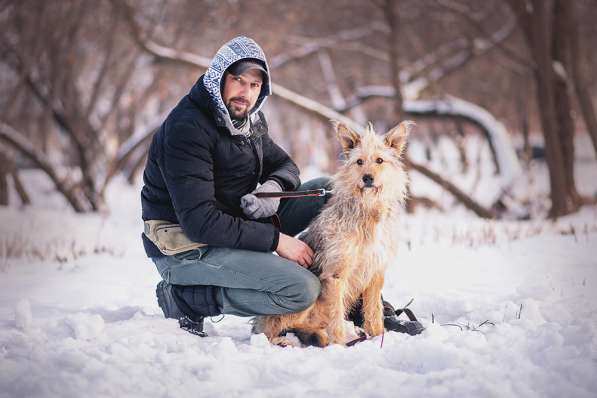 Трогательный Чарлик ищет дом в Москве фото 9