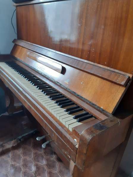 Пианино можно настроить будет играть в Кемерове