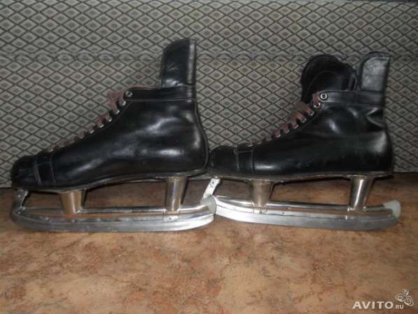 Коньки в Москве фото 3