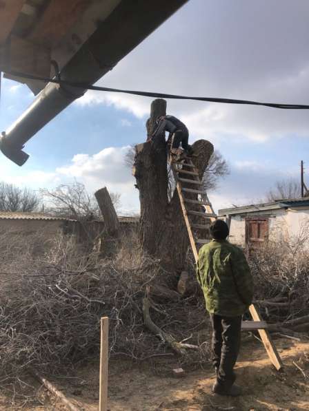 Требуется помощник в Астрахани