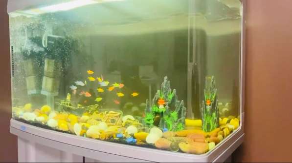 Аквариум 250л