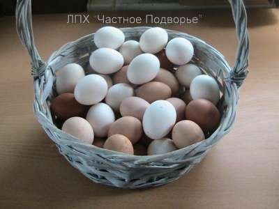 Натуральные продукты из деревни в Москве фото 3