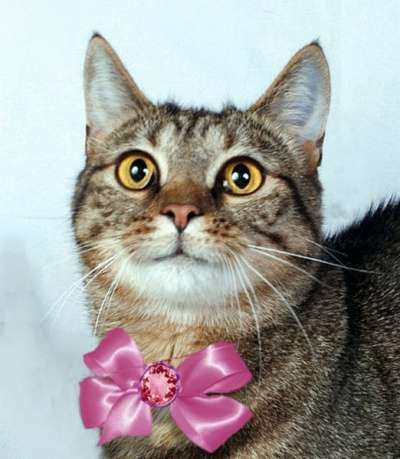 наша крупная Кама