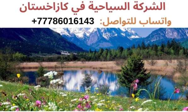 السياحة في الماتي، المترجم: