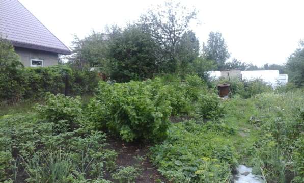 Продам отличный сад в Любителе-2 в Челябинске фото 6