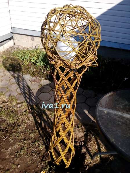 Плетеные деревья из ивы в Санкт-Петербурге фото 8