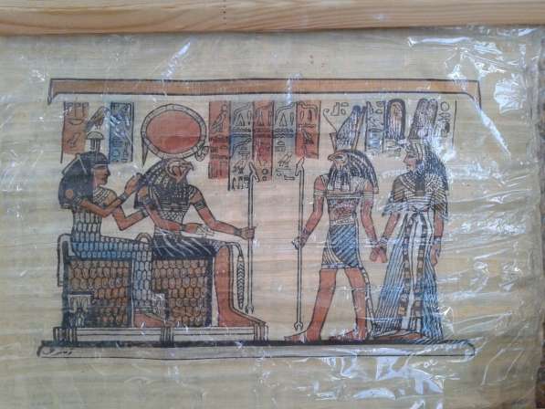 Продам папирус в Ижевске