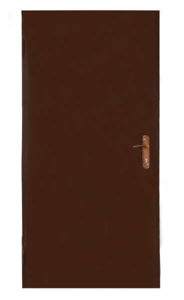 Входные двери в фото 19