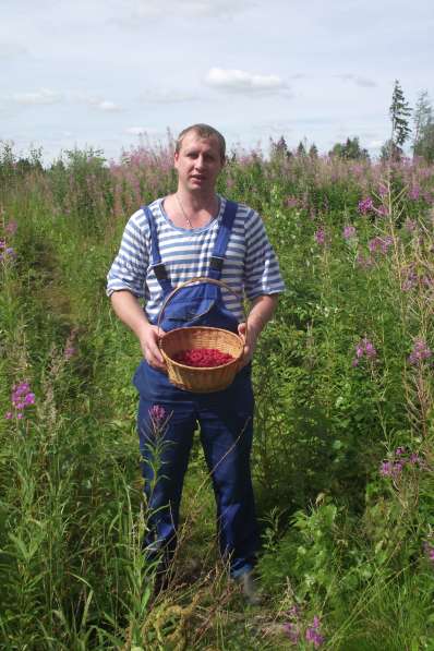 Николай, 36 лет, хочет познакомиться в Москве