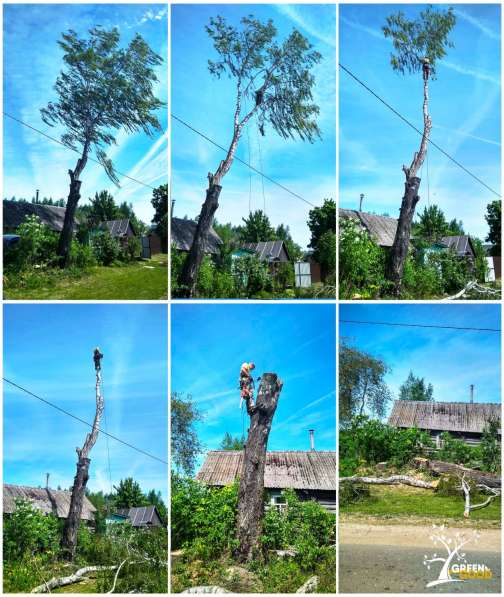 Поможем безопасно спилить аварийное дерево в фото 7