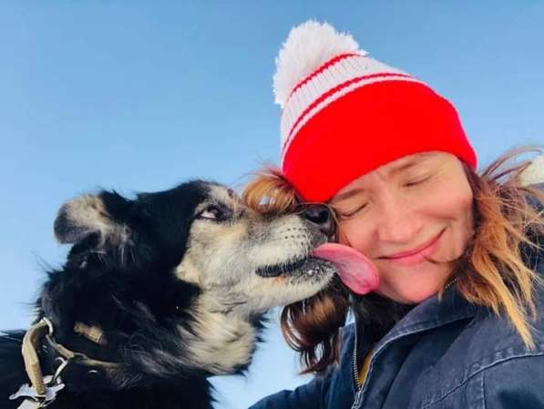 Пушистая весёлая Дакота ищет семью в Москве фото 29