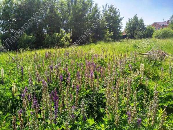 realty_mapper3.plot_in_locationИндивидуальное жилищное ст-во. Есть Электричество, Газ. в Москве фото 59