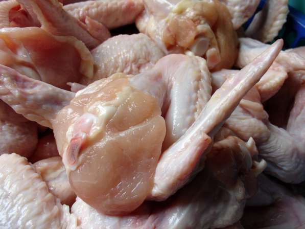 Говядина н/к, б/к, Мясо цыплят бройлера, куриное филе в Самаре фото 3