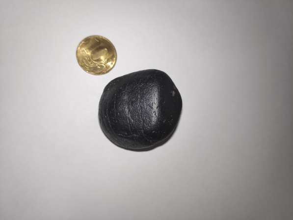 Martian Meteorite в 