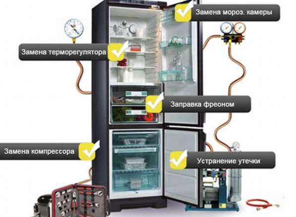 Ремонт холодильников на дому в Москве фото 3