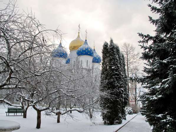 Новый Год в милом сердцу уголке, тур на 2 дня в Москве фото 4