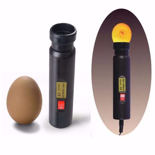 ✔ ✔ ✔ Светодиодный овоскоп для яиц на 220 вольт ✔ ✔ ✔