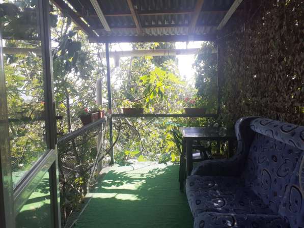 Отдельный номер с двориком в Симеизе в Ялте фото 53