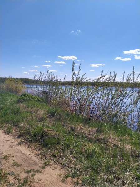 Платная рыбалка в Москве