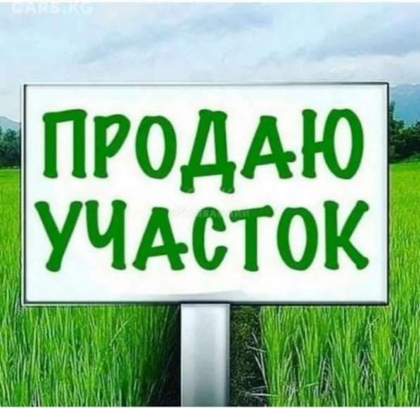 Продаю Земельный Участок в Новопушкинском в Энгельсе фото 5