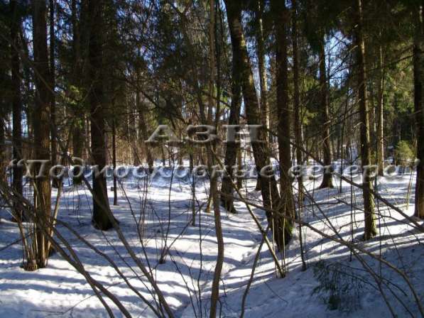 realty_mapper3.plot_in_locationИндивидуальное жилищное ст-во. Площадь 13.00 сот.Есть Электричество. в Москве фото 3