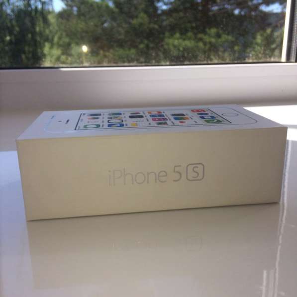 Apple iPhone 5S в Тобольске фото 13
