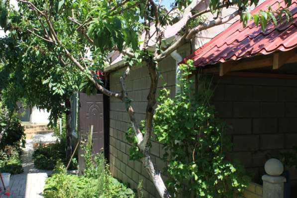 Продам новый дом в Крыму, г. Севастополь в Севастополе фото 7