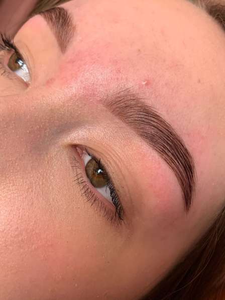 Мастер бровист