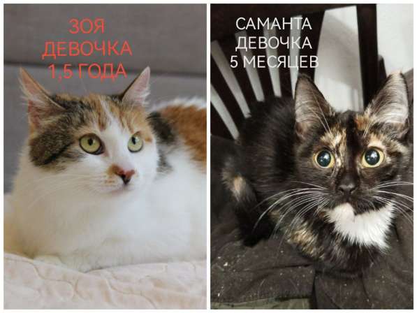 ПОЖАЛУЙСТА, НЕ ПРОХОДИТЕ МИМО!!! в 