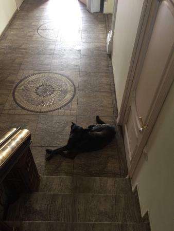 Продам: особняк 353 м2 на участке 20 сот в Раменское фото 5