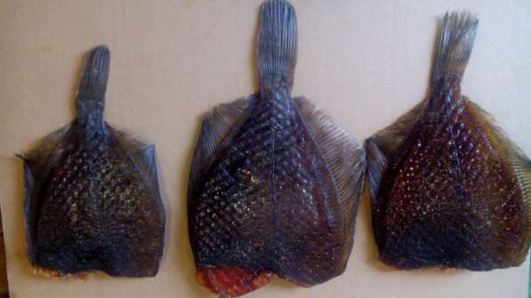 Вяленая рыба, икра, соломка, филе в Климовске фото 4