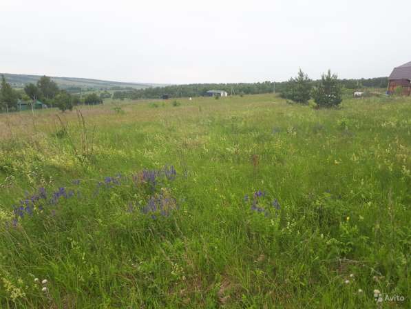 Участок 15 соток в Туле фото 20