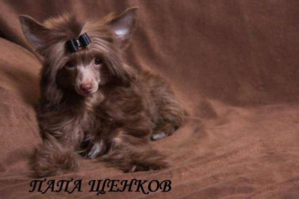 Красивая пуховая девочка в Москве фото 10