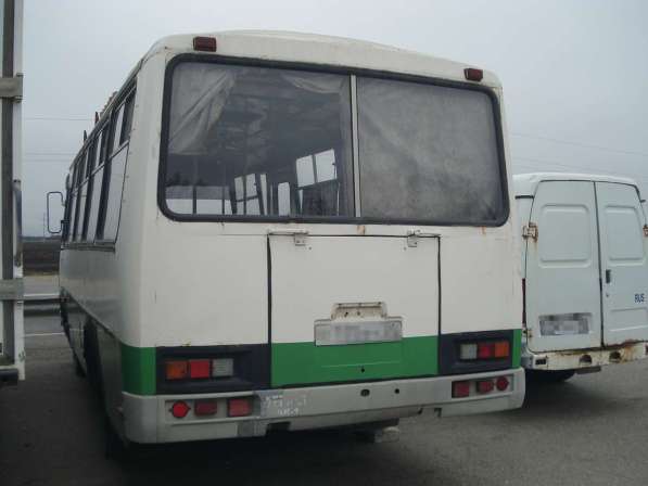 Автобус Паз 3205, категория D в Ставрополе