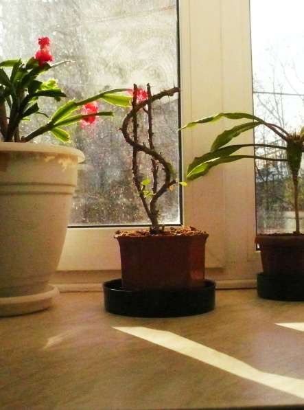 Замки. Установка, замена в Туле фото 6