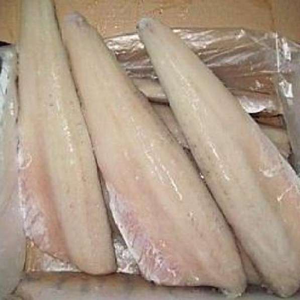 Рыбные филе судака, сазана и др. оптом с бесплатной доставка в фото 5